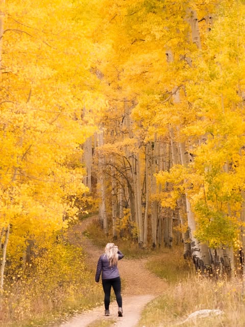 Kara walking along a trail through golden fall aspens