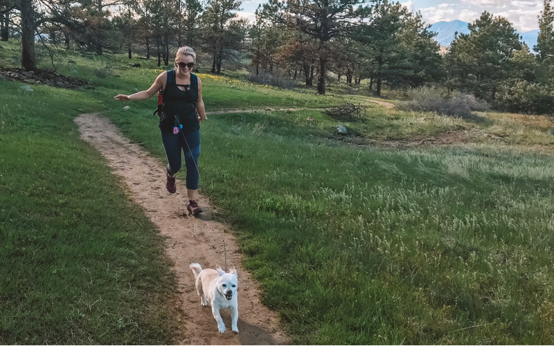 The Real Little Healers Of The World: The Importance Of Pets